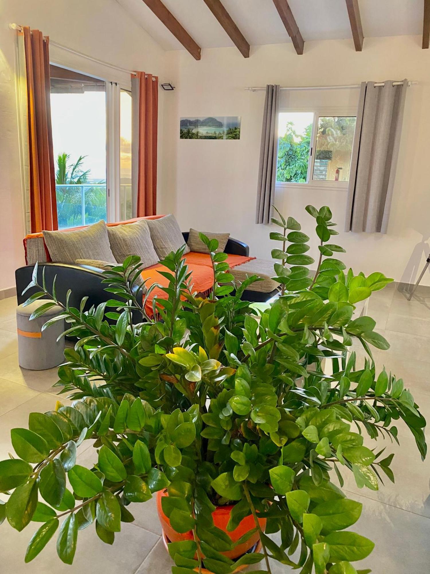 Les Villas Pameyaque 2 F2 Avec 1 Piscine Et 1 F3 Avec 1 Piscine, Superbe Vue Sur La Mer Rivière-Salée Kültér fotó